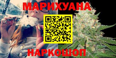 сатива Кимры
