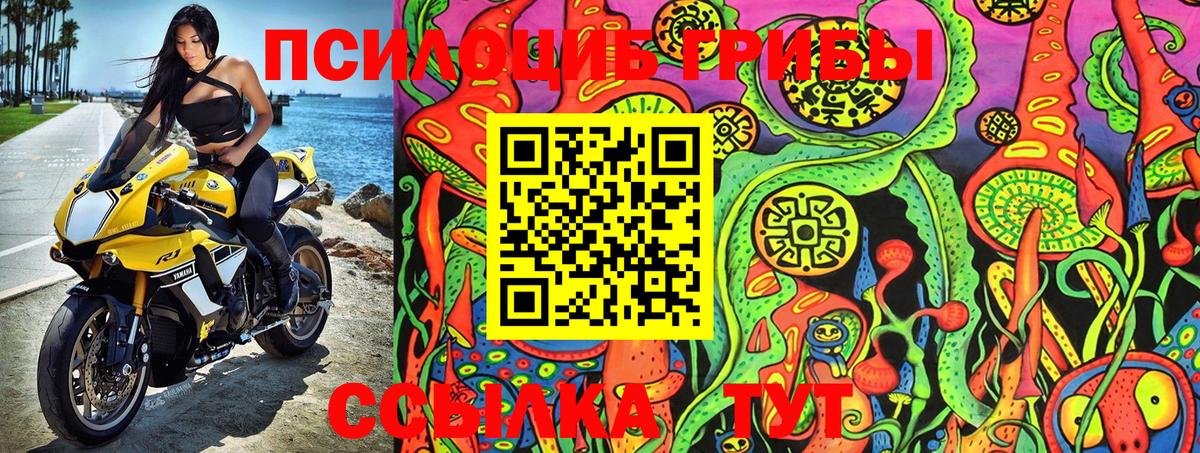 Кохма  Галлюциногенные грибы Psilocybine cubensis  даркнет сайт  Вход с VPN 